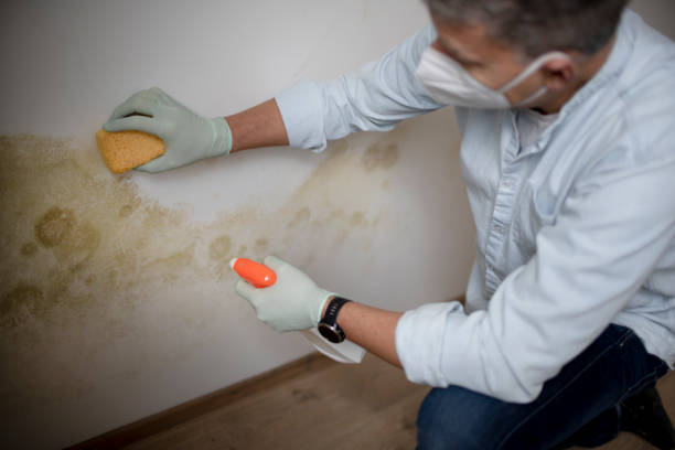 Crawl Space Mold Removal in Conehatta, MS