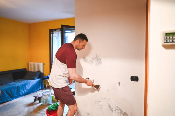 Best Fast Mold Removal  in Conehatta, MS